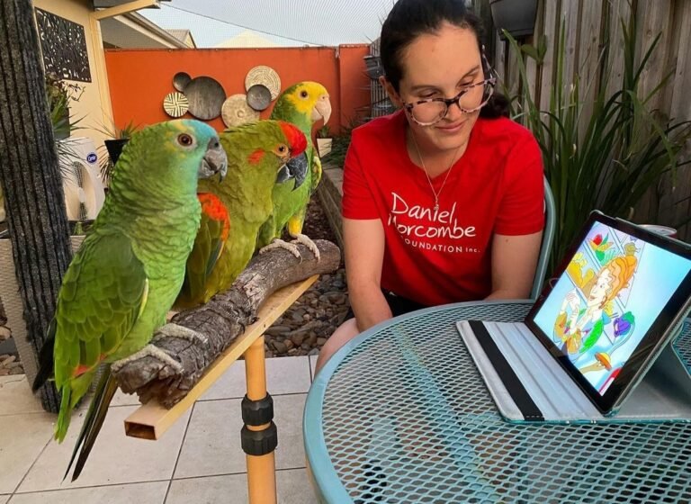 3A List Amazon Parrots - Image 2