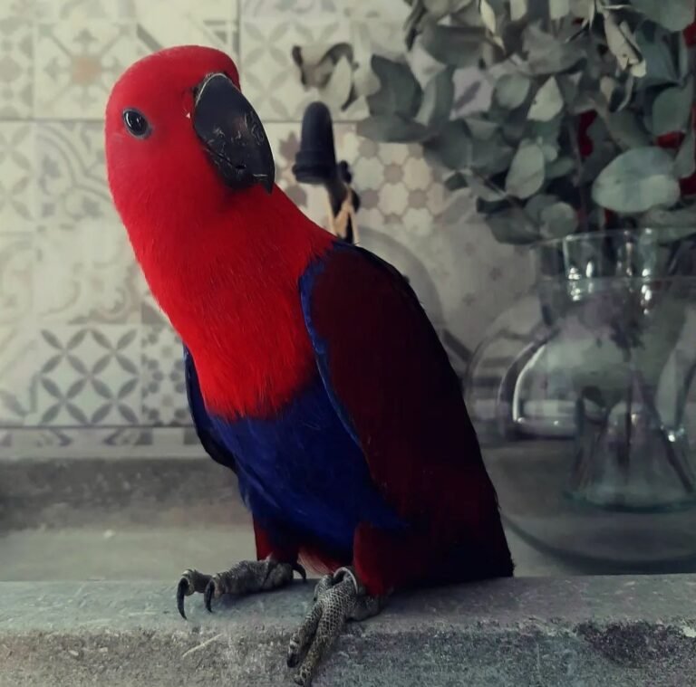 Rosie - Image 3