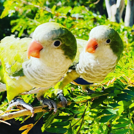 Chloe & Betty