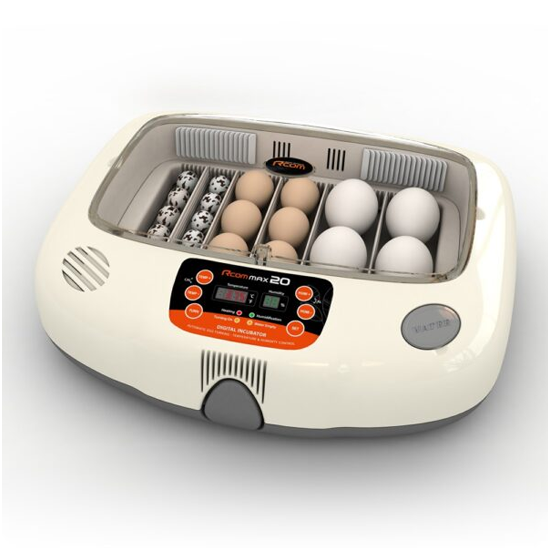 Rcom 20 MAX Digital Incubator