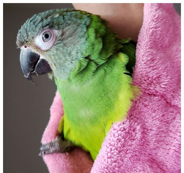 Mindy - Image 2