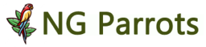 NG Parrots